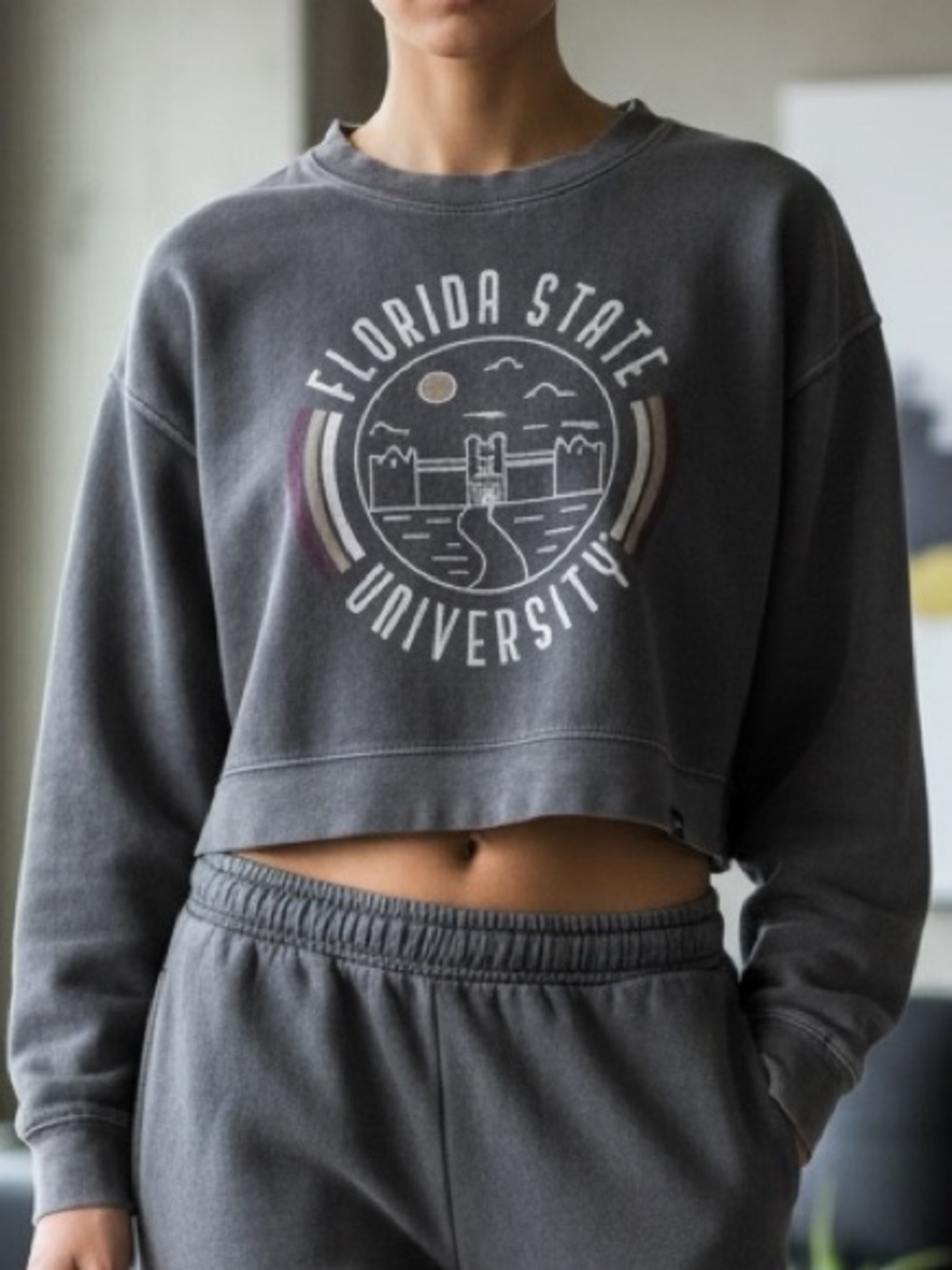 FLORIDA STATE UNIVERSITY CROPPED CREWNECK FSU SWEATSHIRT FLEECED LINED. Size XS